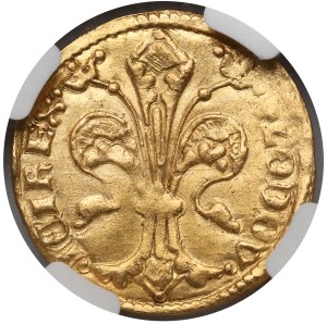Louis of Anjou (1342-1382), Florin (goldgulden), Buda
