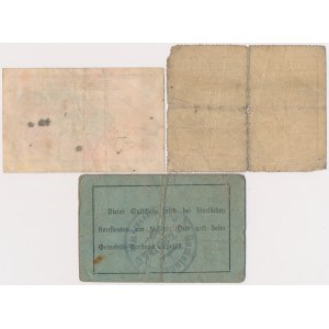 Palczewo (Palschau), Toruń (Thorn) und Tuchola (Tuchel) – Notgeld-Set (3 Stück)