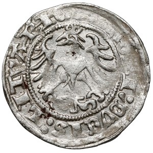 Sigismund I the Old, Vilnius Half-Groschen, 1514