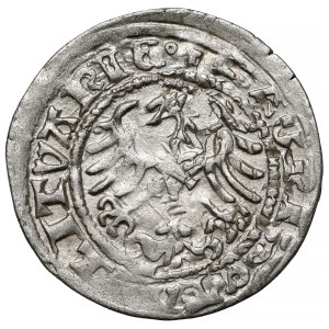 Zygmunt I Stary, Półgrosz Wilno 1513