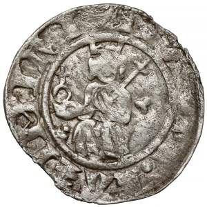 Kazimierz III Wielki, Półgrosz (kwartnik) Kraków - RZADKI typ III