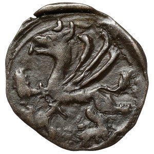Western Pomerania, Stargard, 15th-century denar - Griffin facing left