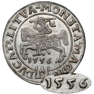 Zygmunt II August, Grosz na stopę litewską 1556, Wilno - RZADKOŚĆ