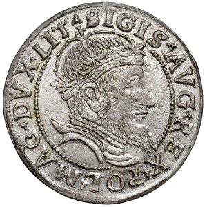 Zygmunt II August, Grosz na stopę litewską 1556, Wilno - RZADKOŚĆ