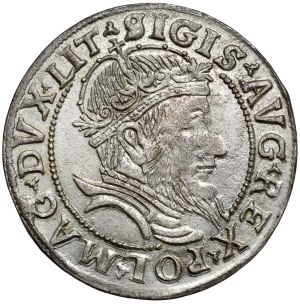 Zygmunt II August, Grosz na stopę litewską 1556, Wilno - RZADKOŚĆ