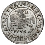 Zygmunt II August, Grosz na stopę litewską 1556, Wilno - RZADKOŚĆ