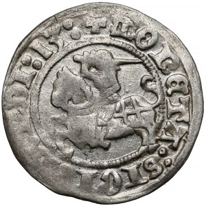 Sigismund I. der Alte, Halbgroschen aus Vilnius, 1513