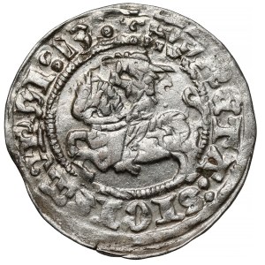 Sigismund I. der Alte, Halbgroschen aus Vilnius, 1513