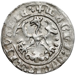Sigismund I. der Alte, Halbgroschen aus Vilnius, 1515