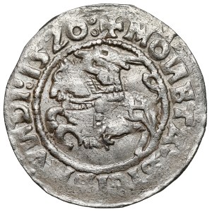 Sigismund I the Old, Vilnius Half-Grosz, 1520