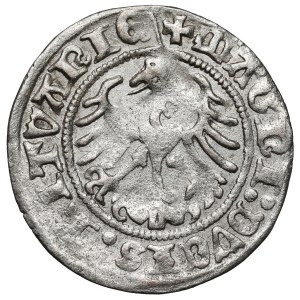 Sigismund I. der Alte, Halbgroschen aus Vilnius, 1513