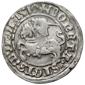 Sigismund I. der Alte, Halbgroschen aus Vilnius, 1510