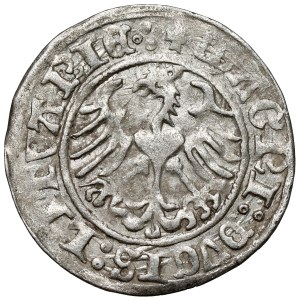 Sigismund I the Old, Vilnius Half-Groschen, 1513
