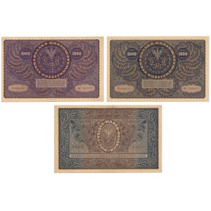 Set of 2 x 1,000 and 5,000 mkp, 1919–1920 (3 pieces)