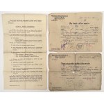 PSZnZ, Soldier's Service and Pay Book + ID tags and photos - set