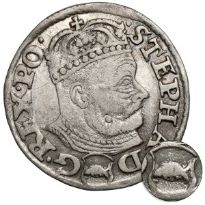 Stefan Batory, Trojak Olkusz 1580 - Glaubicz w TARCZY