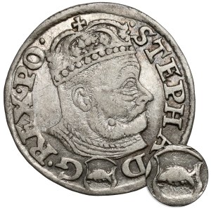 Stefan Batory, Trojak Olkusz 1580 - Glaubicz w TARCZY
