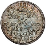 Zygmunt III. Vasa, trojka z Olkusza z roku 1592 – z WALCA