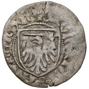 Casimir IV Jagiellon, Toruń Szeląg