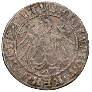 Sigismund I the Old, Vilnius grosz, 1536