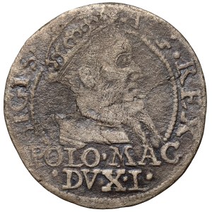 Sigismund II Augustus, Polish foot grosz, 1568, Tykocin