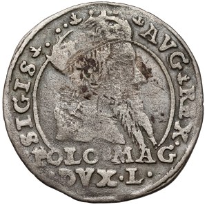 Sigismund II Augustus, Polish foot grosz, 1567, Tykocin—small bust