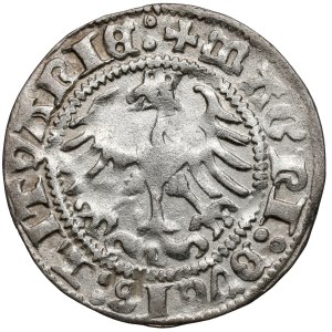 Sigismondo I il Vecchio, mezzo grosz di Vilnius, 1513
