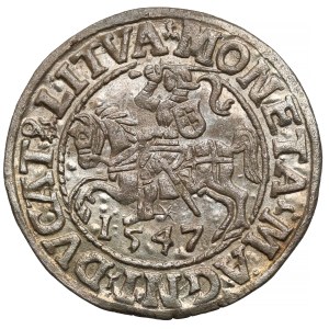 Zygmunt II August, Półgrosz Wilno 1547 - z przebitką DVCT/AT9