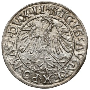 Zygmunt II August, Półgrosz Wilno 1547 - z przebitką DVCT/AT9