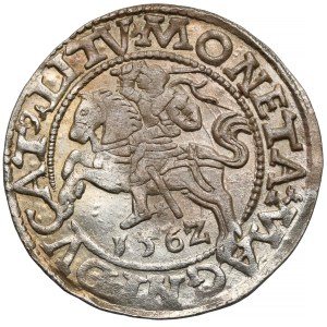 Sigismund II Augustus, Vilnius Half-Groschen, 1562