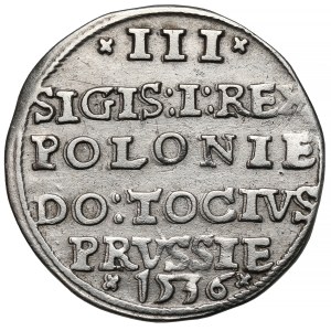 Sigismund I the Old, Trojak, Elbląg, 1536