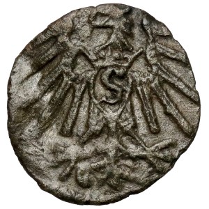 Prusko, Albrecht Hohenzollern, denár z Królewca bez dátumu