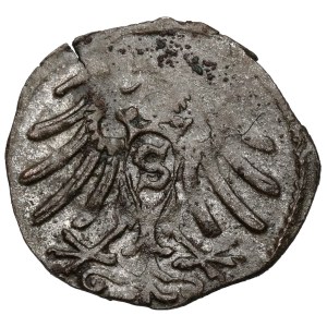 Prussia, Albrecht Hohenzollern, Königsberg Denar, 1563