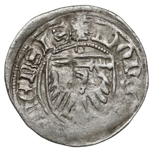 Kazimierz IV Jagiellończyk, Szeląg Toruń - kółko nad tarczą