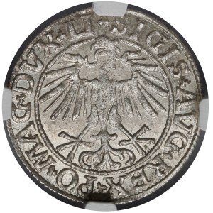 Sigismund II. August, Halbgroschen, Vilnius 1550 – LI