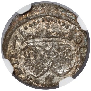 Sigismund III Vasa, Vilnius Szeląg, 1617 – date “161Z”