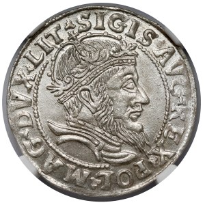Zygmunt II August, Grosz na stopę litewską 1555, Wilno