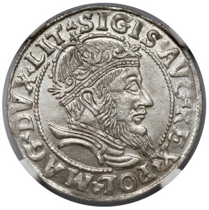 Zygmunt II August, Grosz na stopę litewską 1555, Wilno