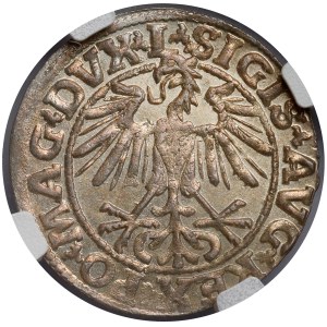 Sigismund II. August, Halbgroschen, Vilnius 1550 – L – selten