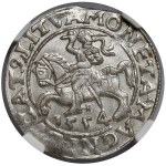 Sigismund II Augustus, Vilnius Half-Groschen, 1554—a rare year—BEAUTIFUL