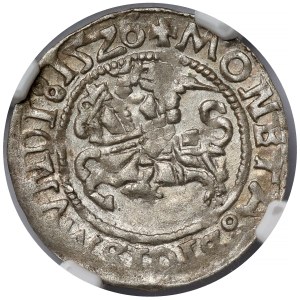 Zygmunt I Stary, Półgrosz Wilno 1526