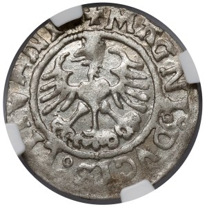 Zygmunt I Stary, Półgrosz Wilno 1526