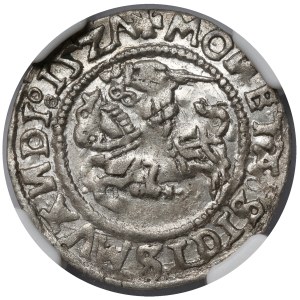 Sigismund I the Old, Vilnius Half-Groschen, 1527—with errors