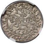 Sigismund II. August, Halbgroschen aus Vilnius 1557 – 2x Kleeblatt