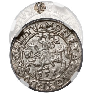 Sigismund II Augustus, Vilnius Half-Grosz, 1555 - L / LITV - rare