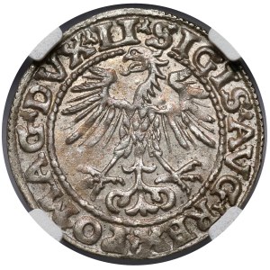 Sigismund II Augustus, Vilnius Half-Grosz, 1552—shield upright
