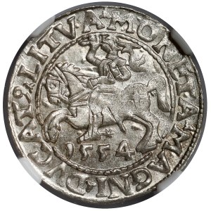 Zygmunt II. August, polgroš z Vilniusa z roku 1554 – vzácny ročník