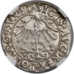 Zygmunt II August, Półgrosz Wilno 1557