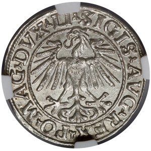 Sigismund II Augustus, Vilnius Half-Groschen, 1548 – Roman – LI