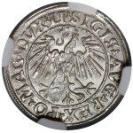 Zygmunt II August, Półgrosz Wilno 1547